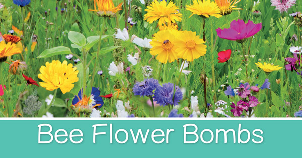 Bee Flower Bombs